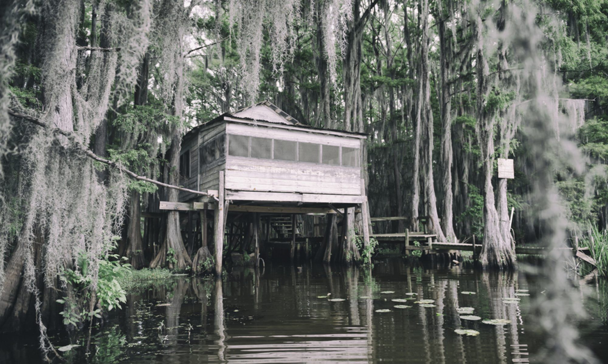 cropped-bayou-house.jpg